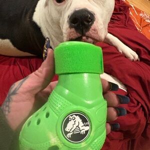 Green Dog crocs